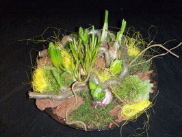 Ronde schaal met voorjaarsgeluk