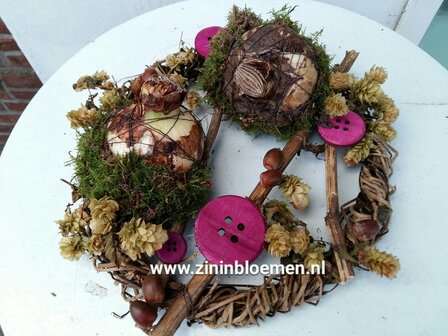 Amaryllis op een krans met knopen