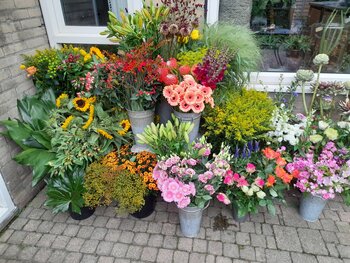 Serre als werkruimte