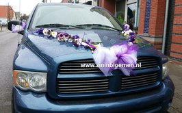 Auto versiering