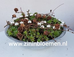 Kerstschaal voor buiten