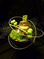 Bloempot met Amaryllis